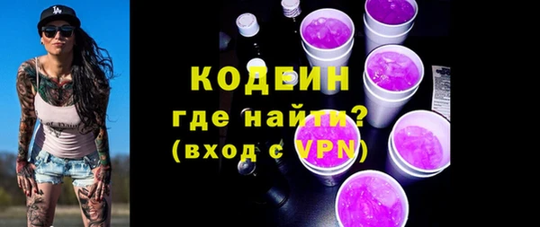 шишки Болотное