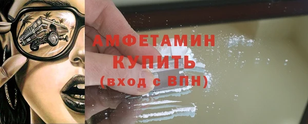 шишки Болотное