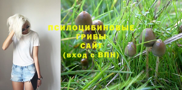 крисы Гусь-Хрустальный