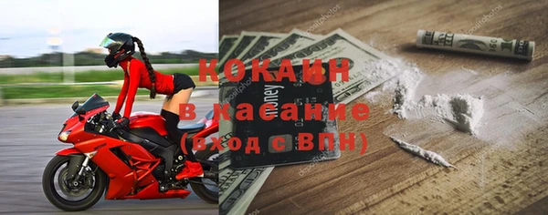 крисы Гусь-Хрустальный