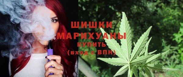 прущая мука Гусев